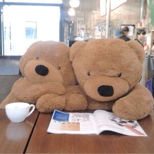 Meet your Posher, Ollie